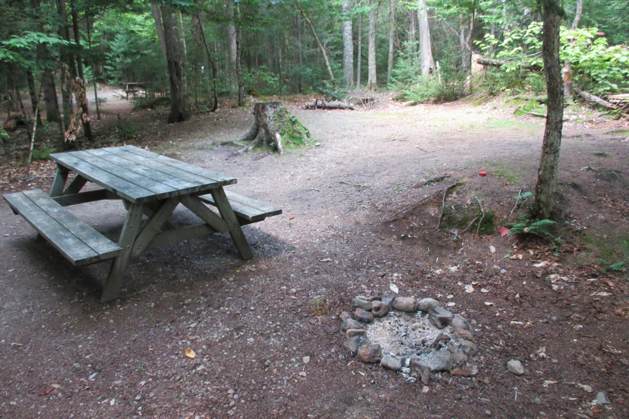 Castor 30 Camping Parc national du MontTremblant Sépaq